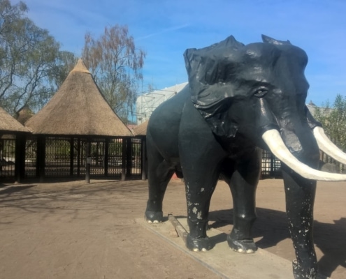 Schaarhek safaripark Beekse Bergen